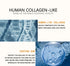 Human-like Collagen Boosting Day Cream 48g - ROUTINE FASHION